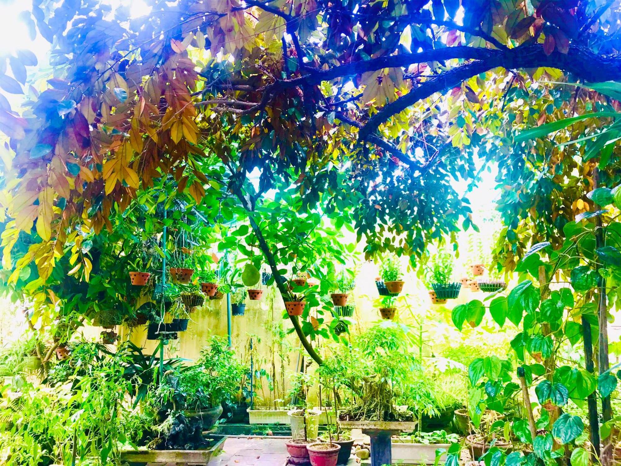 Pebble Homestay Hoi An Luaran gambar